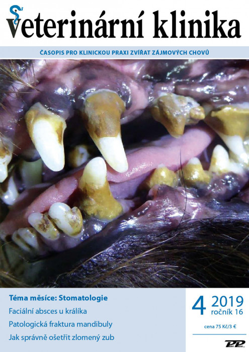 Obálka titulu Veterinární klinika - vydání č. 4/2019