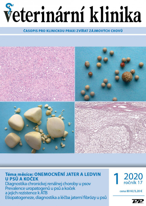 Obálka titulu Veterinární klinika - vydání č. 1/2020