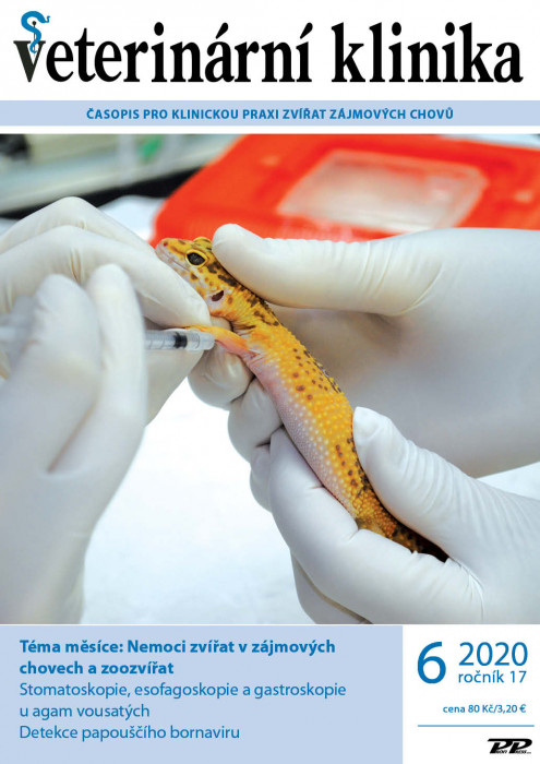 Obálka titulu Veterinární klinika - vydání č. 6/2020