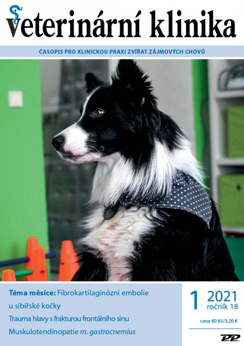 Obálka titulu Veterinární klinika - vydání č. 1/2021