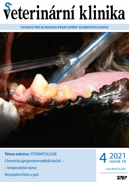 Obálka titulu Veterinární klinika - vydání č. 4/2021