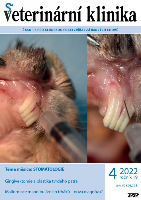 Obálka titulu Veterinární klinika - vydání č. 4/2022