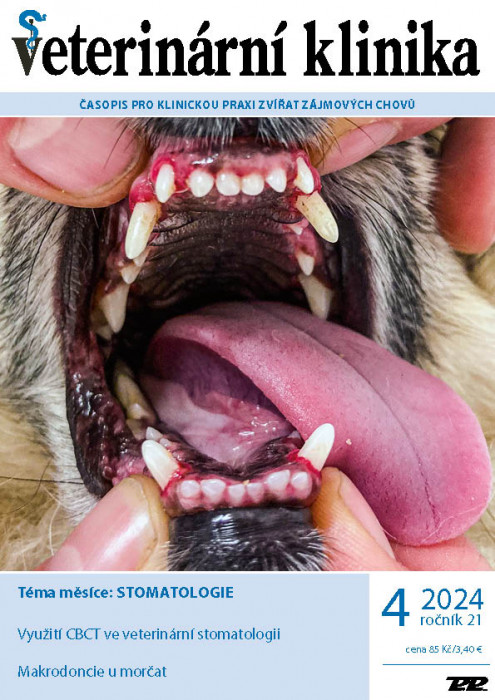 Obálka titulu Veterinární klinika - vydání č. 4/2024