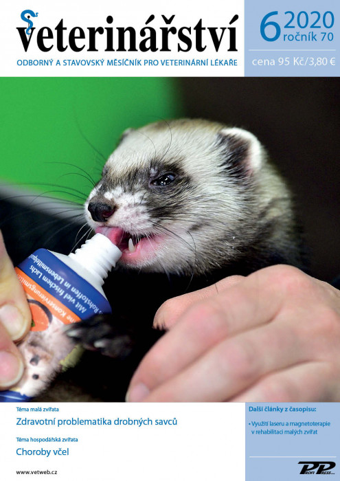 Obálka titulu Veterinářství - vydání č. 6/2020