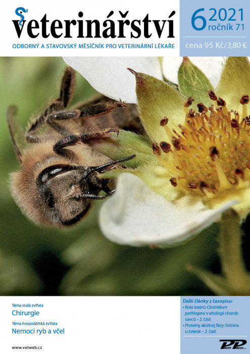 Obálka titulu Veterinářství - vydání č. 6/2021