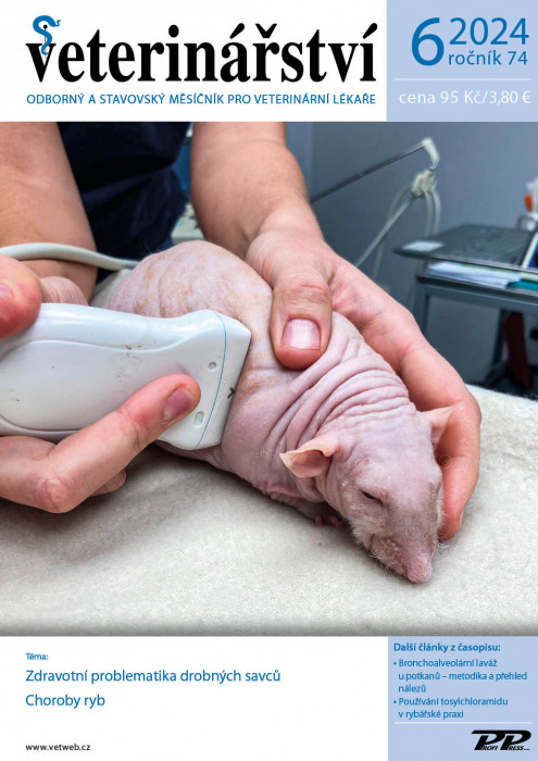 Obálka titulu Veterinářství - vydání č. 6/2024