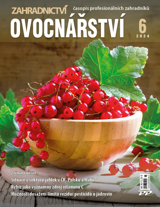 Obálka titulu Zahradnictví/Vinař - Sadař - vydání č. 6/2024